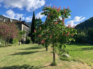 El Cau de Cal Quimet