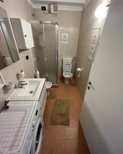 Gardalakeapartment a Sirmione img18