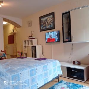 Studio Cres - 3hvězdičkové hotely ve městě Cres