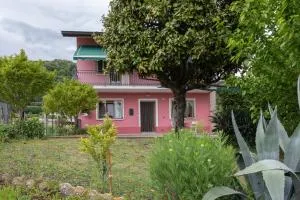 La collina dei nonni - Tarzo - Fratta