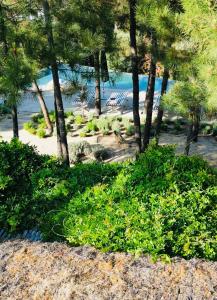 Cabana Lavanda Comporta