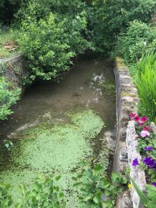 Appartements Reveil aux chants des oiseaux : photos des chambres