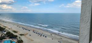 Oceanview Efficiency DW1508