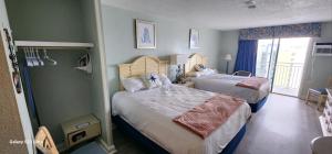 Oceanview Efficiency DW1508