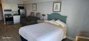 Oceanfront Efficiency T504