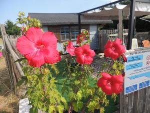 Maisons d'hotes CHALET CALVADOS ( location en gite) : photos des chambres