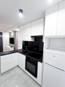 APARTAMENCIK "W KLIMACIE" - Apartament typu Studio