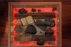 Felicitas apartments at the Center near the beach