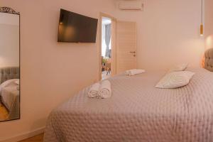 Luksuzni apartman Ribica u samom centru grada