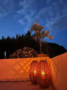 Appartement Terrasse