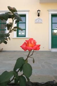 Hotel Aspasia Naxos Greece