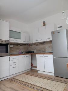 Fis Centar Apartment LOFT