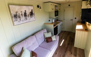 The Shire Luxury Converted Horse Lorry with private hot tub Cyfie Farm