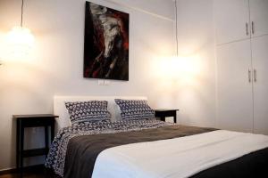 central Athens apartment near Kallimarmaro hosted by vasiliki