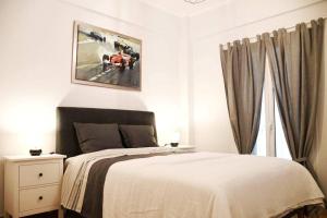 central Athens apartment near Kallimarmaro hosted by vasiliki