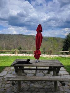 Maisons de vacances Se reconnecter a la nature au gite 3 etoiles de Montager a Saint Andre de Chalencon : photos des chambres