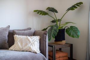 Casa Sol e Lua Alvor