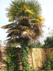 Maisons de vacances maison tartifume : photos des chambres