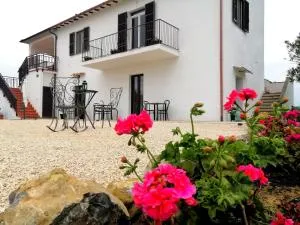 Agriturismo Podere Verdicchio - Scansano