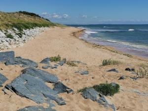 Maisons de vacances Oleron Loue du dimanche au dimanche Maison avec cour et jardin au Calme : photos des chambres