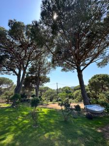 Hotels Hotel Ambassador Palombaggia : photos des chambres