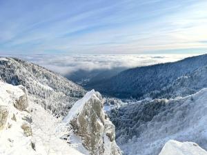 Chalets RELAX CHALET - Confort de luxe au calme absolu - pres de La Bresse : photos des chambres