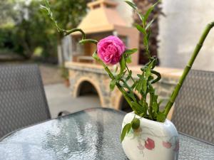 Linas Amazing House in Ialysos