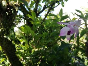 Cabaña El Descanso #1, Macho Mora Mountain Lodge