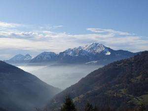 Chalet spacieux 10 pers. avec jardin, cheminée, cuisine équipée à Cohennoz, proche nature - FR-1-733-29