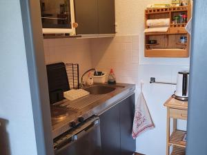 Appartements Studio Crest-Voland, 1 piece, 4 personnes - FR-1-733-57 : photos des chambres