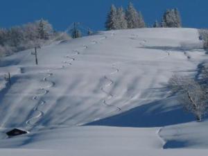 Duplex cosy 3 pièces pour 6 pers. à Crest-Voland, balcon, proche des pistes et commerces - FR-1-733-58