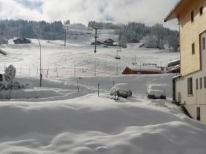 Appartement cosy 1 chambre, 4 pers, centre station, 100m des pistes, balcon, bien équipé - FR-1-733-107