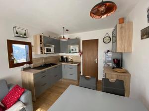 Appartements Appartement 4 pers, rez-de-jardin, pres des pistes, parking, animaux acceptes - FR-1-733-117 : photos des chambres