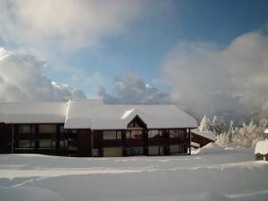 Studio cosy 4 pers, rez-de-chaussée, bien équipé, Crest-Voland, proche pistes, parking inclus - FR-1-733-109