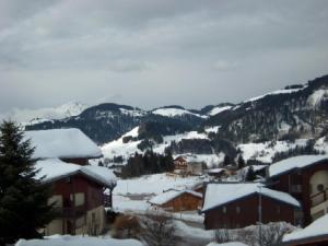 Duplex 8 pers. à 200m des pistes avec garage - FR-1-733-101