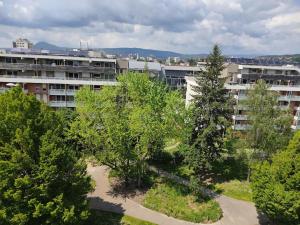 Appartements Entre Lac et Montagne : Appartement 2 Chambres