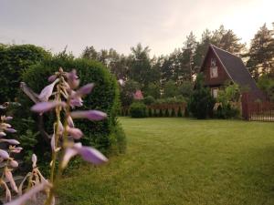 Domek pod Leszczyną na Kaszubach