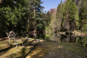 Maisons de vacances Chateau Le Camigne, vue Pyrenees : photos des chambres