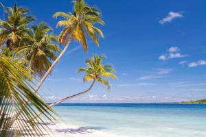 Dhonfulhafi Beach View