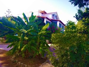 Blue Studios by Irene - 3-star hotels in Laganas