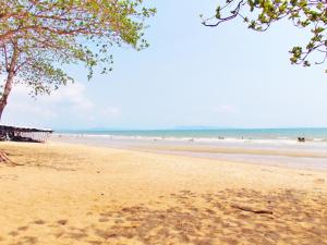 Sea View Beachfront Condos Pattaya Jomtien Beach