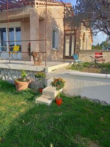 Maisons de vacances country house 5 minutes from the foot of Ventoux : photos des chambres