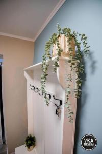 Bulevard Apartments 11