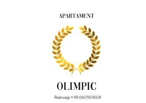 OLIMPIC Apartament Klimatyzacja Garaż Winda Suwałki - 4hvězdičkové hotely ve městě Suwałki