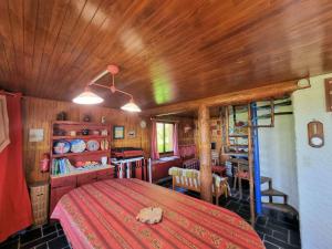 Chalets Chalet Saint-Michel-de-Chaillol, 10 pieces, 18 personnes - FR-1-393-82 : photos des chambres