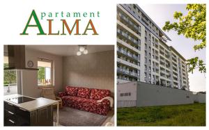 Apartament Alma