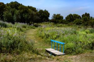 Maisons de vacances Residence Itylon : photos des chambres