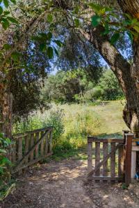 Maisons de vacances Residence Itylon : photos des chambres