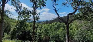 Bell-tenten Quinta Pomar Do Pontido