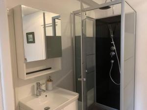 Appartements Loft avec parking centre Tours et bord du Cher Loire Valley : photos des chambres